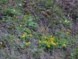 Gebührenverordnung zum Abwasserreglement, Anpassung
