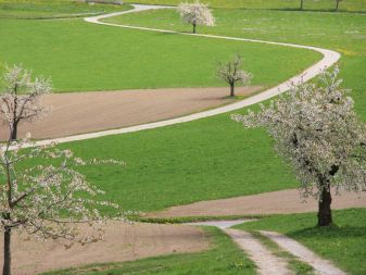Gemeindeverwaltung – Öffnungszeiten Frühlingsferien und Ostern