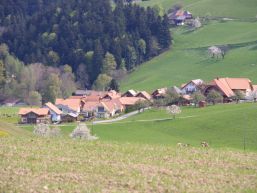 Beschlüsse Gemeindeversammlung vom 13. Juni 2024