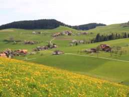 Gemeindeversammlung vom 17. Juni 2022 - Ergebnis