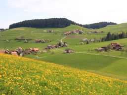 Gemeindeversammlung vom 11. Juni 2021 - Einladung und Traktandenliste