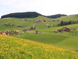Einladung zur Gemeindeversammlung vom 11. Juni 2026