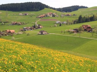 Neuer Gemeindetraktor in Betrieb genommen