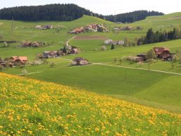 Neuer Gemeindetraktor in Betrieb genommen