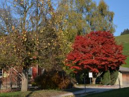 Wahlergebnisse National- und Ständeratswahlen vom 22. Oktober 2023