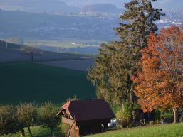 Gemeindeversammlung vom 07.12.2021 - Einladung und Traktandenliste