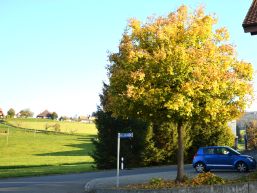 Wahlen Gemeinderat per 1. Januar 2026