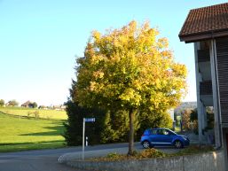 Kurzmeldungen aus dem Gemeinderat - Oktober 2022