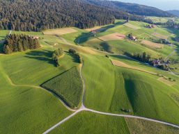 Gemeindeversammlung vom 26. August 2020 - Ergebnisse