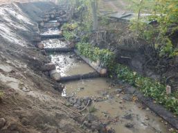 Neue Gewässerräume - Sicherung des Raumbedarfs von oberirdischen Gewässern