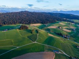 Amtliche Vermessung Los 4