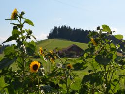 Nächste Altstoff- und Velosammlung im Herbst 2025