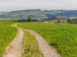 Änderung Anhänge II und III des Personalreglementes