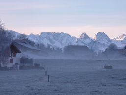 Informationen aus dem Gemeinderat Januar / Februar