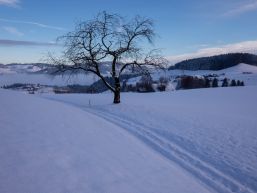 Ergebnisse Gemeindeversammlung vom 5. Dezember 2019