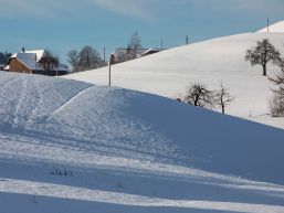 Reglemente Wasserversorgung / Löschgebühren - Inkraftsetzung per 01.11.2025
