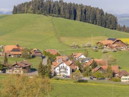 Informationen aus dem Gemeinderat Dezember 2023 - Februar 2024