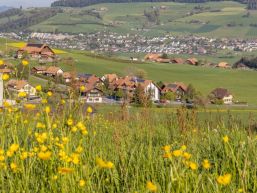 Informationen aus dem Gemeinderat März April