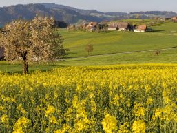 Öffnungszeiten Gemeindeverwaltung