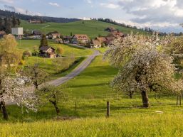 Ressortverteilung Gemeinderat ab 2024