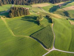 Gemeindestrasse Wildeney - Erschwerte Durchfahrt