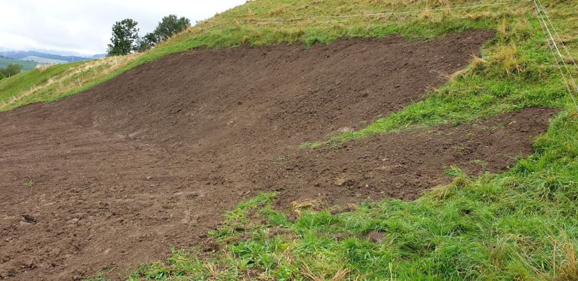 Sanierung Scheibenstand 4