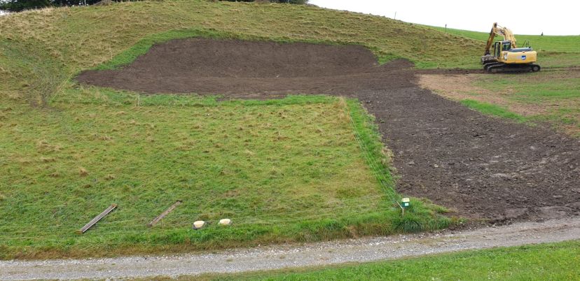 Sanierung Scheibenstand 4