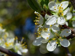 Überarbeitung Altersleitbild