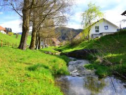 Neue Gewässerräume - Sicherung des Raumbedarfs von oberirdischen Gewässern