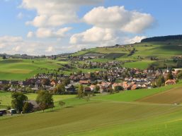 Reglementsbeschlüsse Gemeinderat mit fakultativem Referendum 