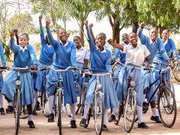 Nächste Altstoffsammlung, Velosammlung und Häckseldienst im Herbst 2025