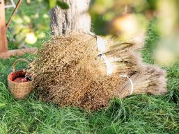 Neues Festabzeichen Brächete