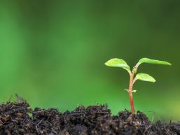 Grüngutsammelplatz Grossmatthof - Sommeröffnungszeiten