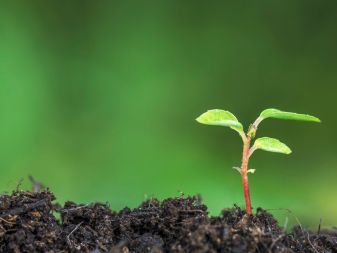 Grüngutsammelplatz Grossmatthof - Sommeröffnungszeiten / unentgeltlicher Häckseldienst im Frühling