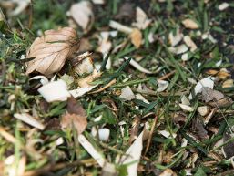 Schliessung Grüngutsammelstelle