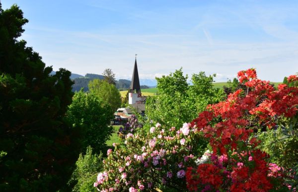 Bild Kirche Zäziwil