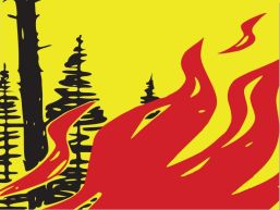 Feuerverbot im Wald und in Waldesnähe, generelles Verbot von Feuerwerk