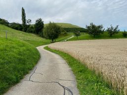 Aussermattweg - Verkehrseinschränkung/-sperrung