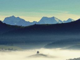 Personelle Zusammensetzung der ständigen Kommissionen